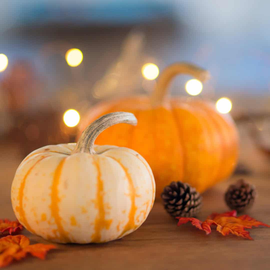 Two pumpkins on a wooden surface surrounded by autumn leaves and pinecones